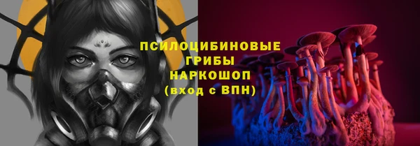 PSILOCYBIN Абинск