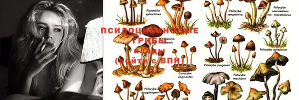 винт Алексеевка