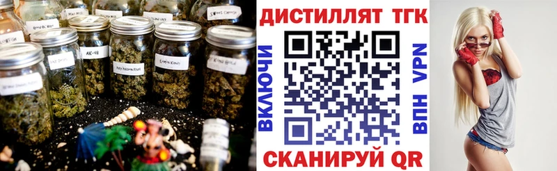 Дистиллят ТГК гашишное масло  omg зеркало  Димитровград 