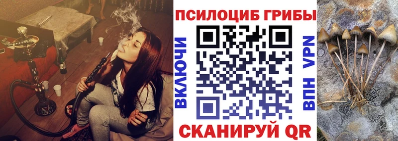 Галлюциногенные грибы Magic Shrooms Димитровград
