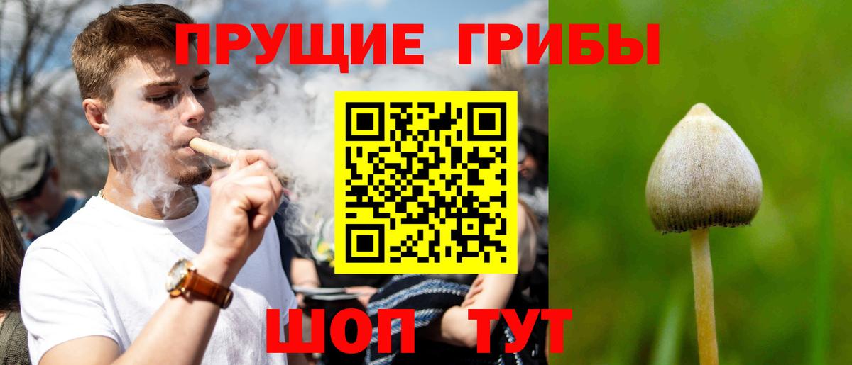 Псилоцибиновые грибы GOLDEN TEACHER  Псилоцибиновые грибы Cubensis  Димитровград  купить наркоту  Вход с VPN 